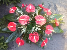 Palma pogrzebowa z czerwonego Anturium