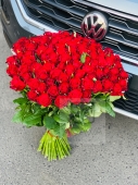 Róże czerwone 50 szt 70/80 cm